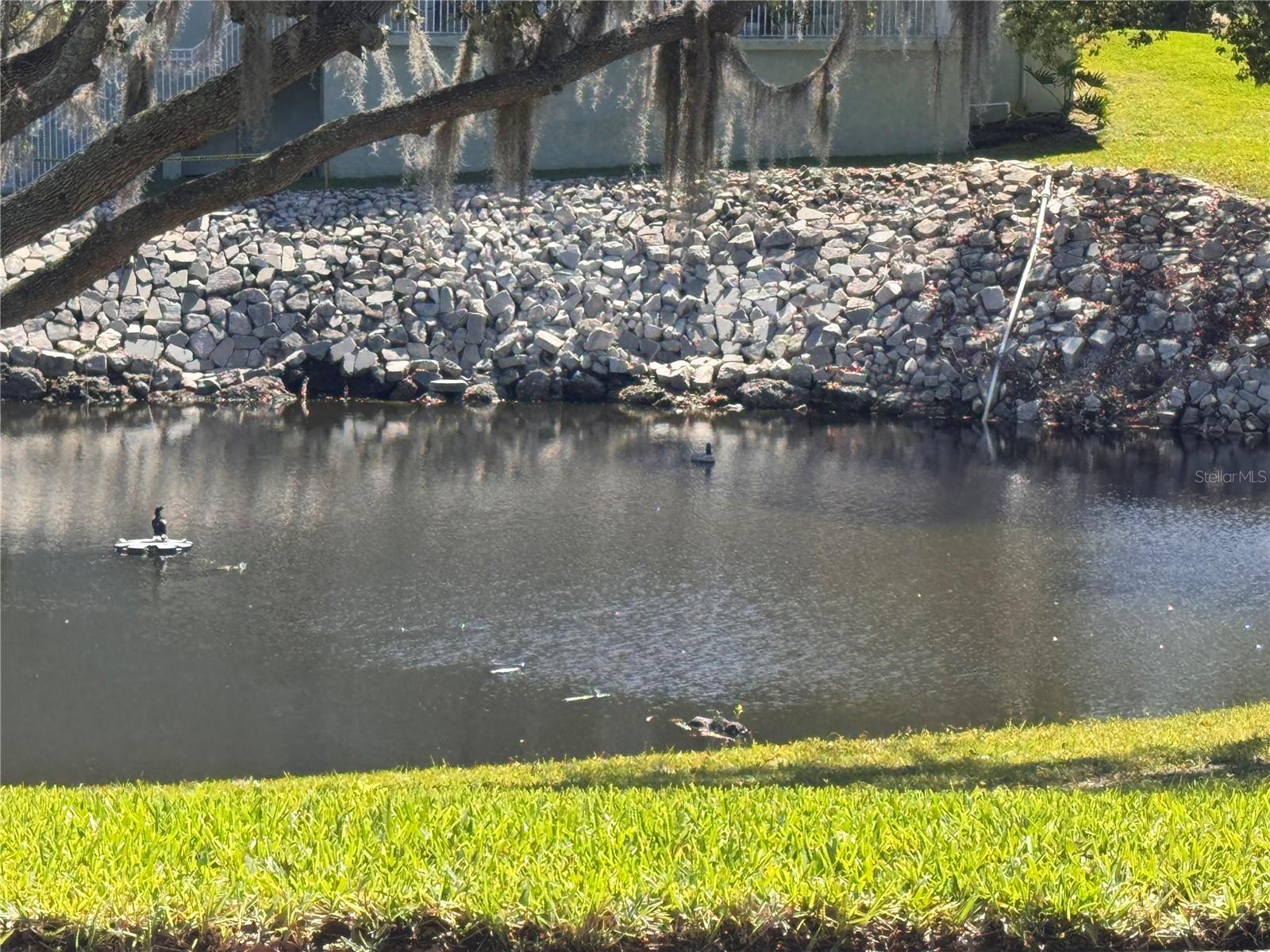 GREEN DOLPHIN PARK CONDO - Residential