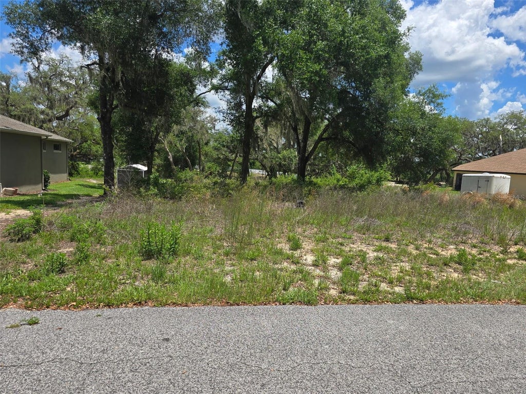Photo of 5066 Westlake Boulevard, Dade City, FL 33523 (MLS # TB8509751)