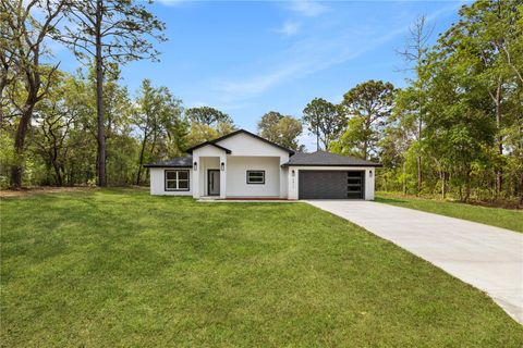 Tiny photo for 2812 W Gaspar Drive, Citrus Springs, FL 34433 (MLS # O6398695)