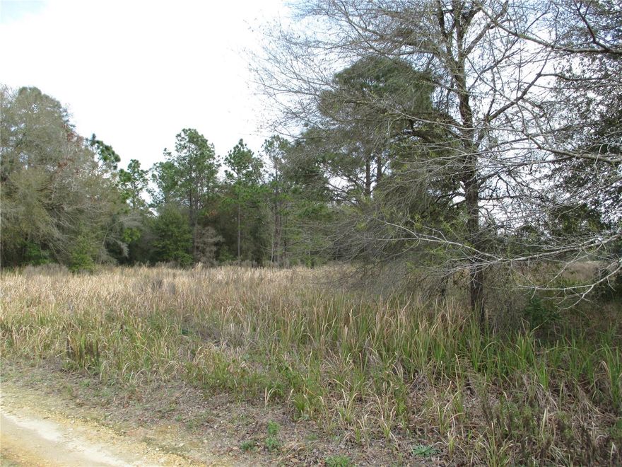 Prime lot measuring 75x135 located in the desirable Rainbow Park subdivision of Ocala! Zoned R1, this property offers the flexibility to build a single-family home along with an Accessory Dwelling Unit (mother-in-law suite) situated at the rear of the property—perfect for extended family or additional living space.

Create your dream home with plenty of room to relax, entertain, and enjoy time with family and friends. Nestled in a peaceful, rural setting, yet conveniently located approximately 10 miles from the renowned World Equestrian Center, offering world-class events, dining, and entertainment.

Don’t miss this opportunity to own a spacious homesite in a growing area while enjoying the charm and tranquility of Florida living!
