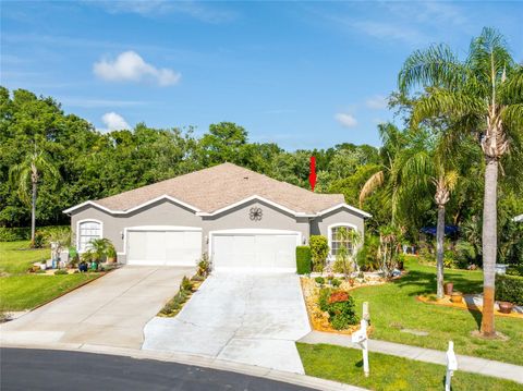 12134 TOURNAMENT VIEW AVENUE NEW PORT RICHEY FL 34654