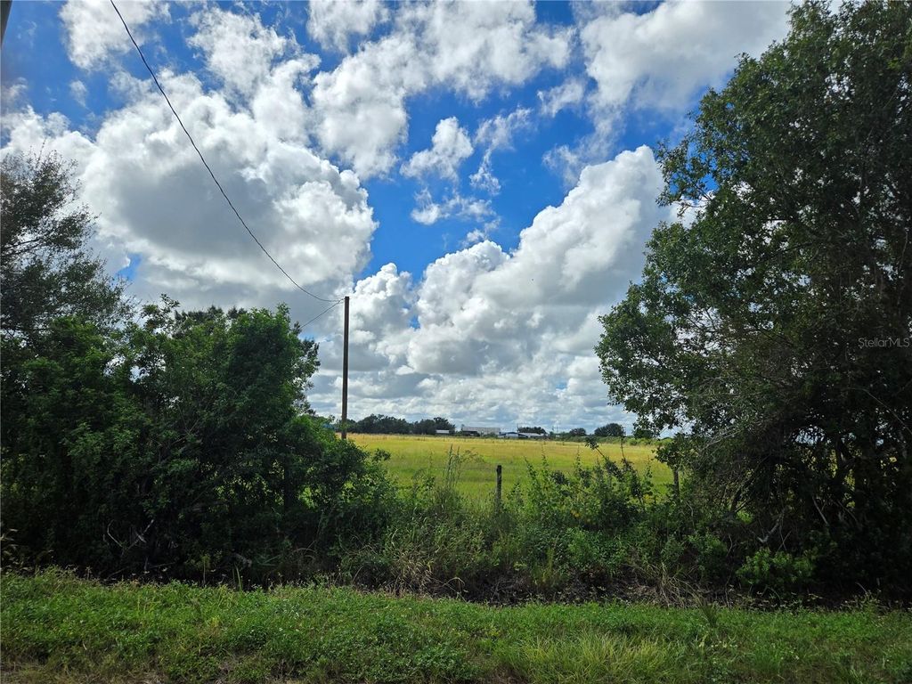 Photo of SE Piggy Back Road, Arcadia, FL 34266 (MLS # C7515949)