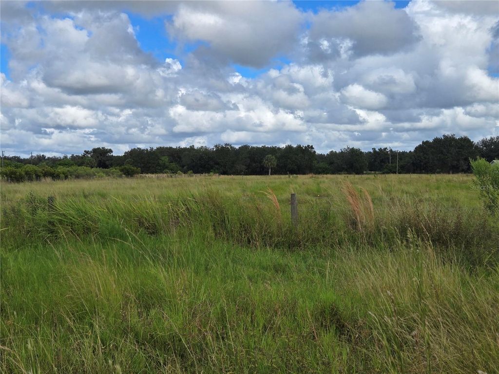 Photo of SE Piggy Back Road, Arcadia, FL 34266 (MLS # C7515949)
