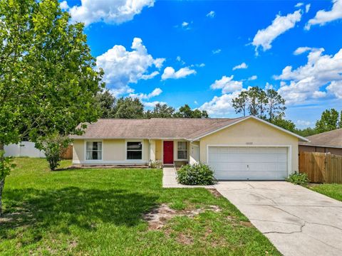10739 LAKE RALPH DRIVE CLERMONT FL 34711