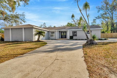 A home in BRANDON