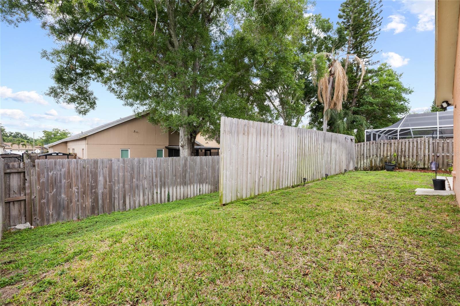 PADDOCK TRAIL - Residential