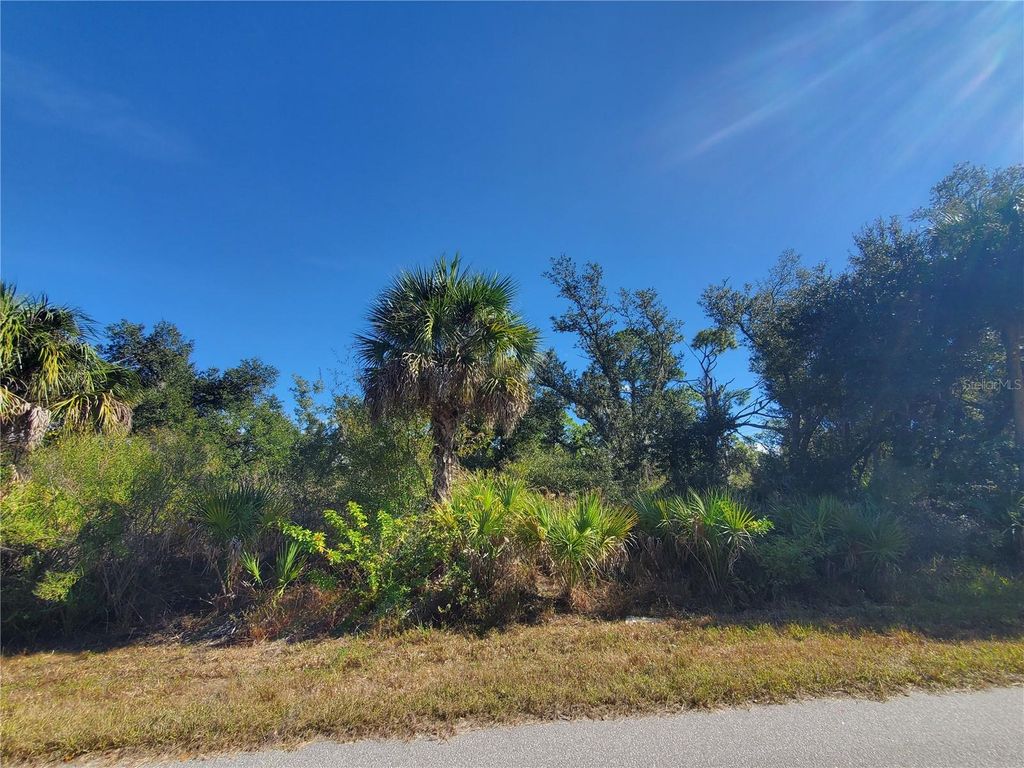 Photo of 1520 Capel Street, Port Charlotte, FL 33953 (MLS # C7519828)