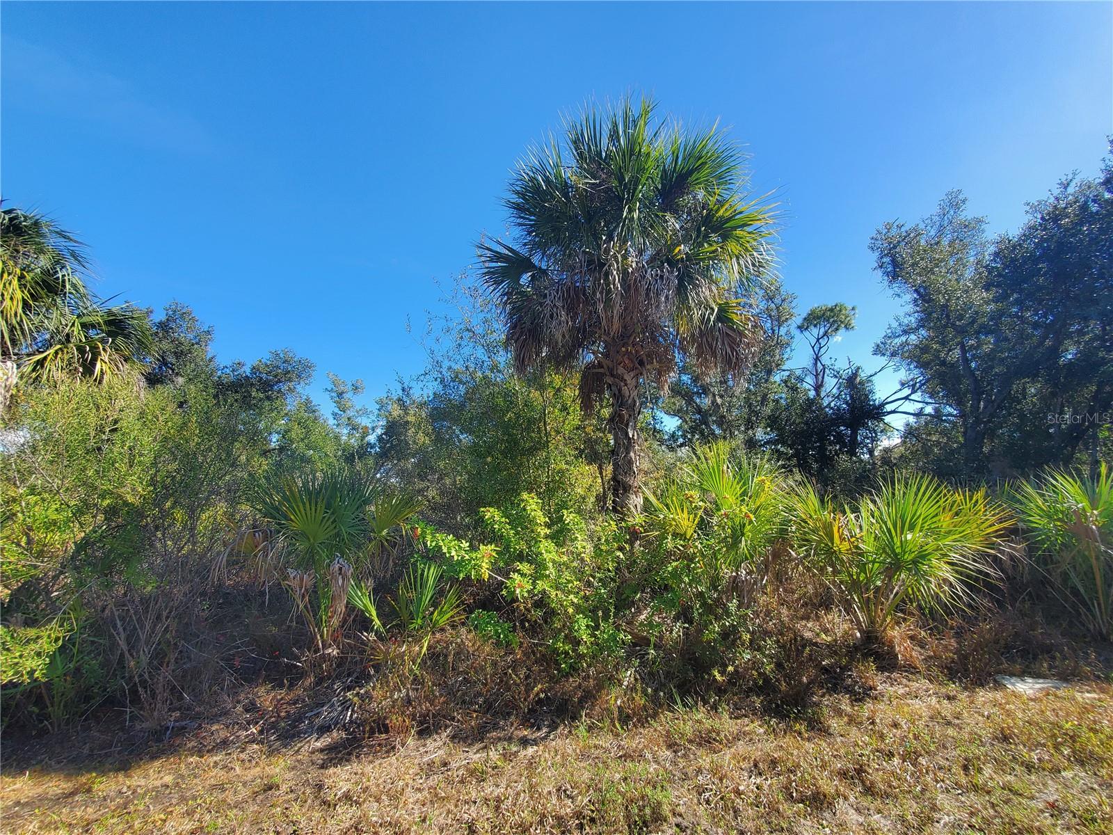 PORT CHARLOTTE SEC 029 - Land