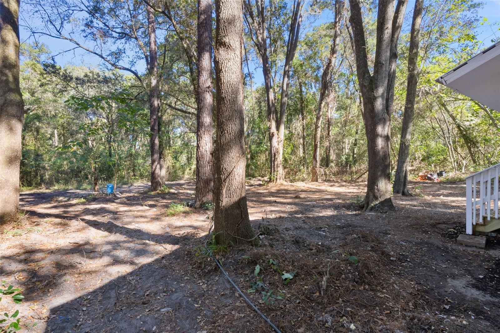 REGAL PARK - Residential Lease