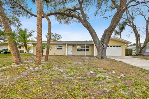 A home in CLEARWATER