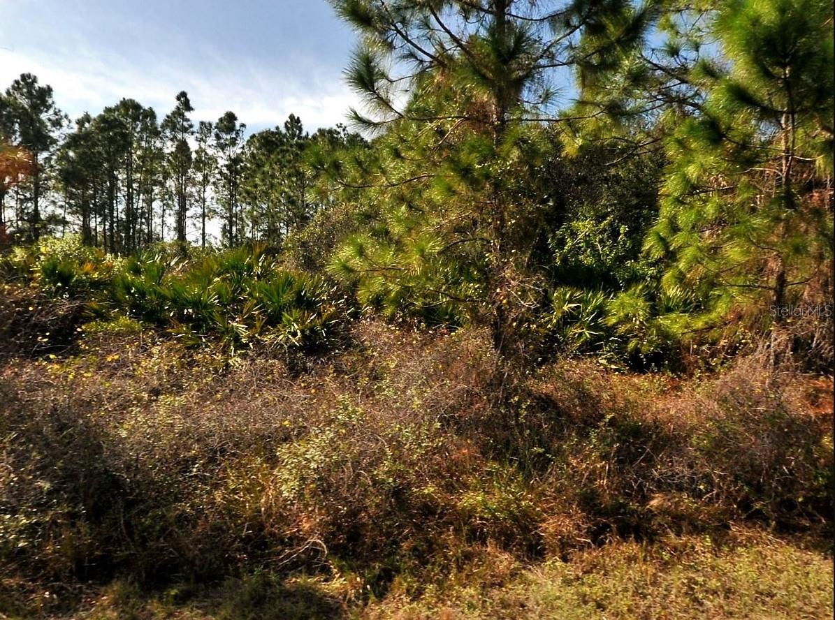 Don't miss this incredible opportunity to own a versatile piece of land in a desirable location. This spacious lot offers a blank canvas for your dream home, investment property, or development project. Nestled in a growing area with convenient access to major roads, schools, shopping, and recreation, this property combines peace and potential. Utilities are nearby, and the lot is zoned for residential. Whether you're building now or holding for the future, this property is a smart addition to your portfolio.