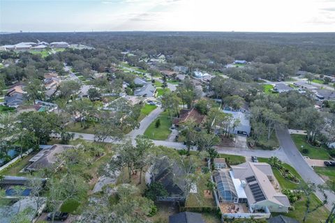 A home in ORMOND BEACH
