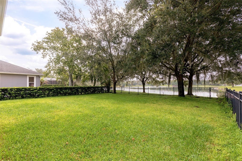 Photo of 13844 Amelia Pond Drive, Windermere, FL 34786 (MLS # O6401590)