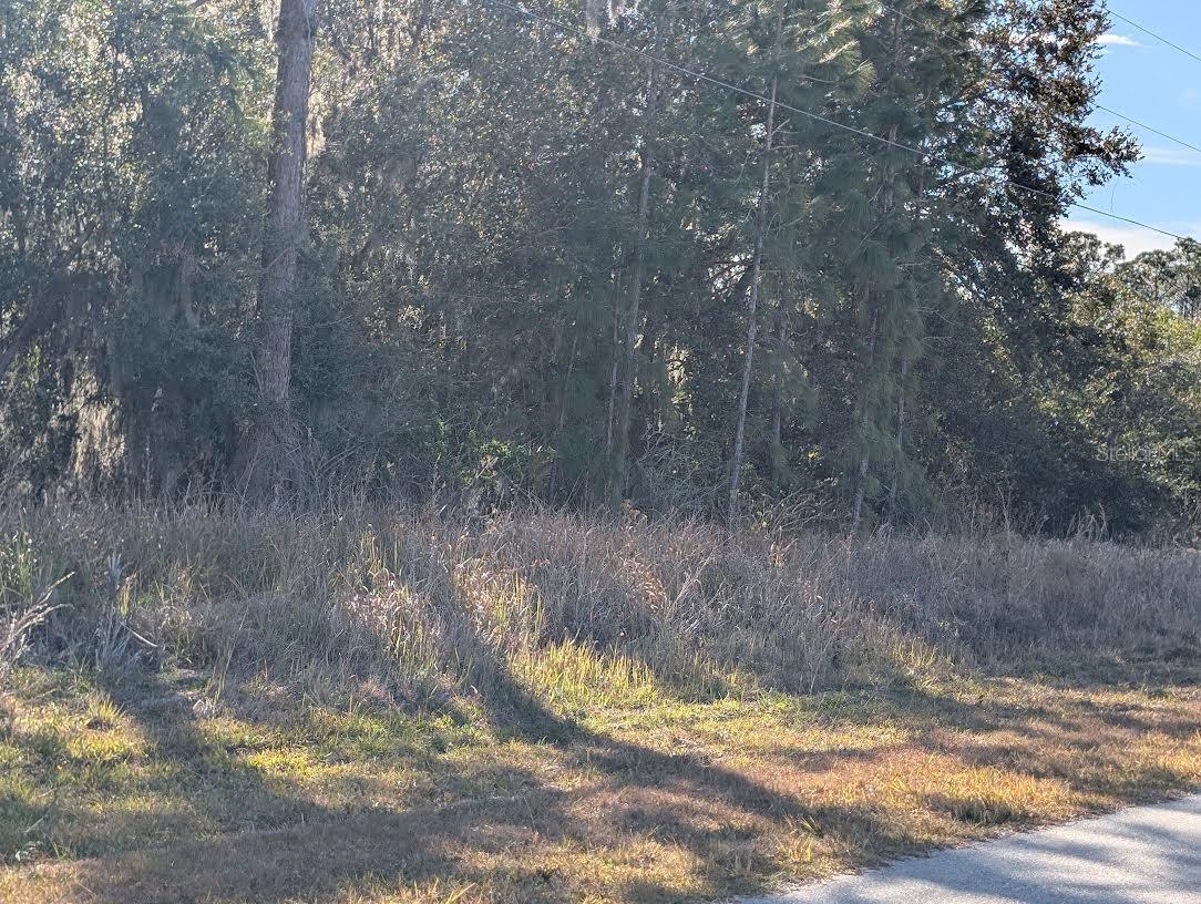 INDIAN LAKE ESTATES - Land