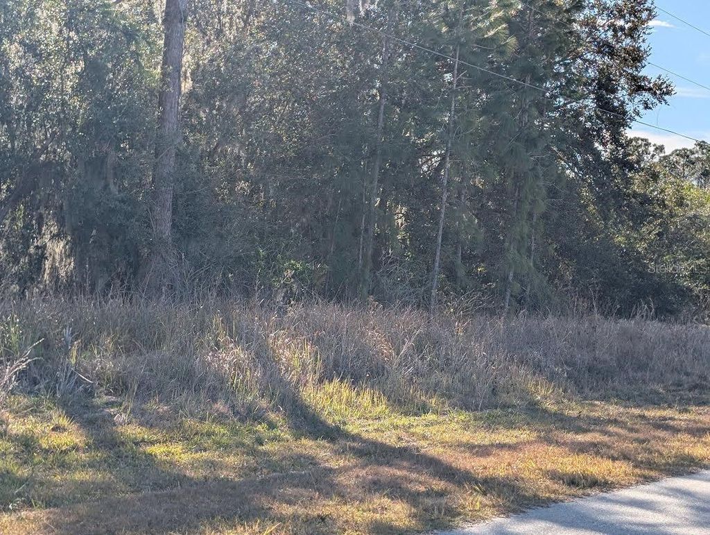 Photo of 26 Banyan Drive, Indian Lake Estates, FL 33855 (MLS # P4937704)