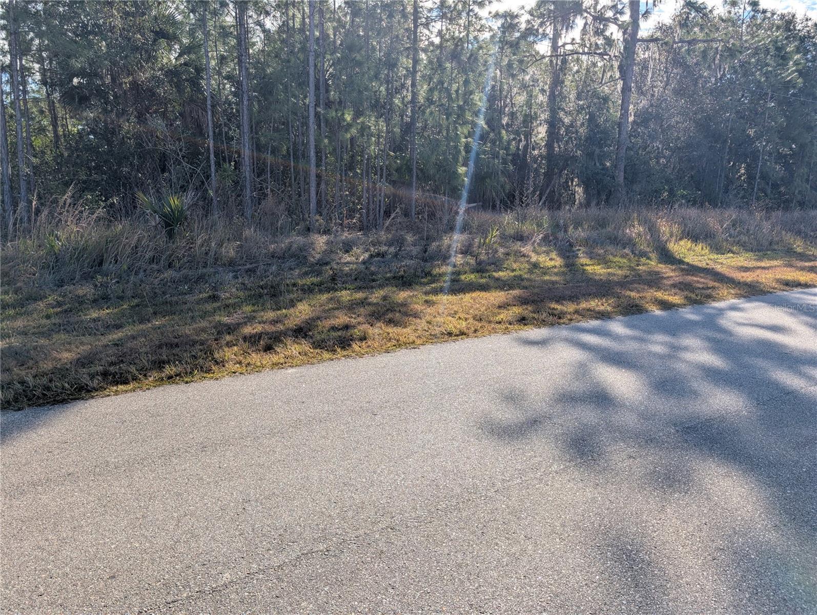 INDIAN LAKE ESTATES - Land