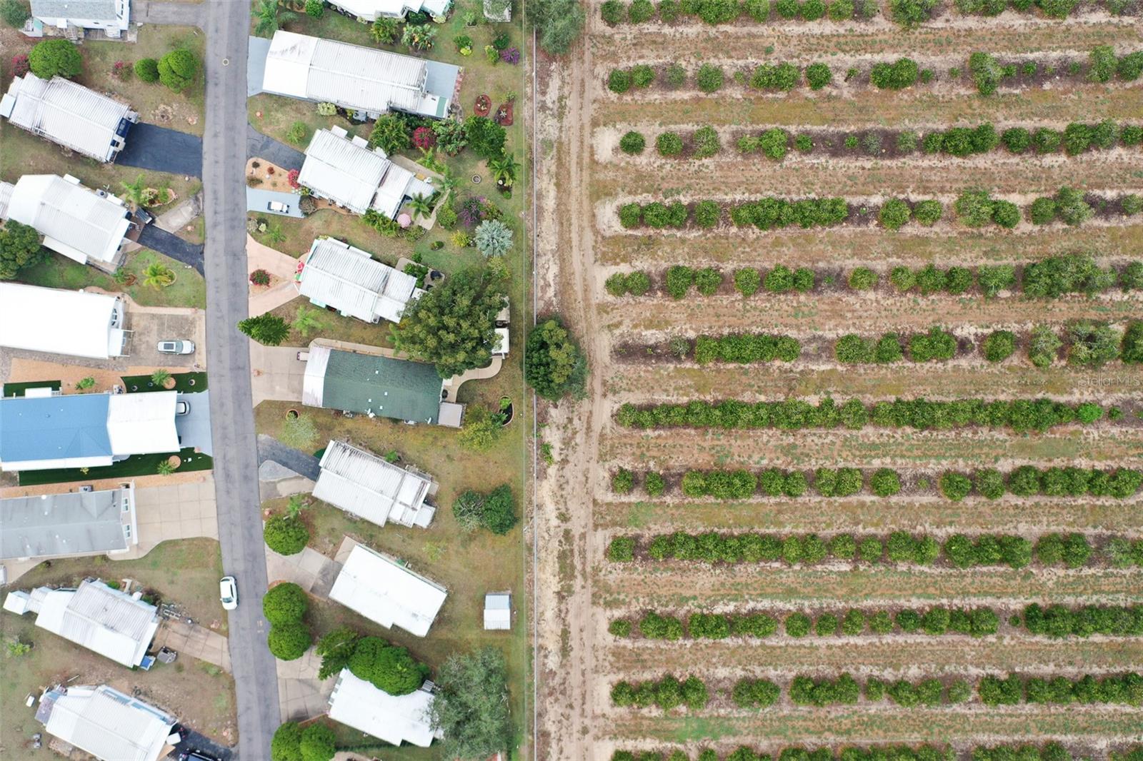 SADDLEBAG LAKE - Residential