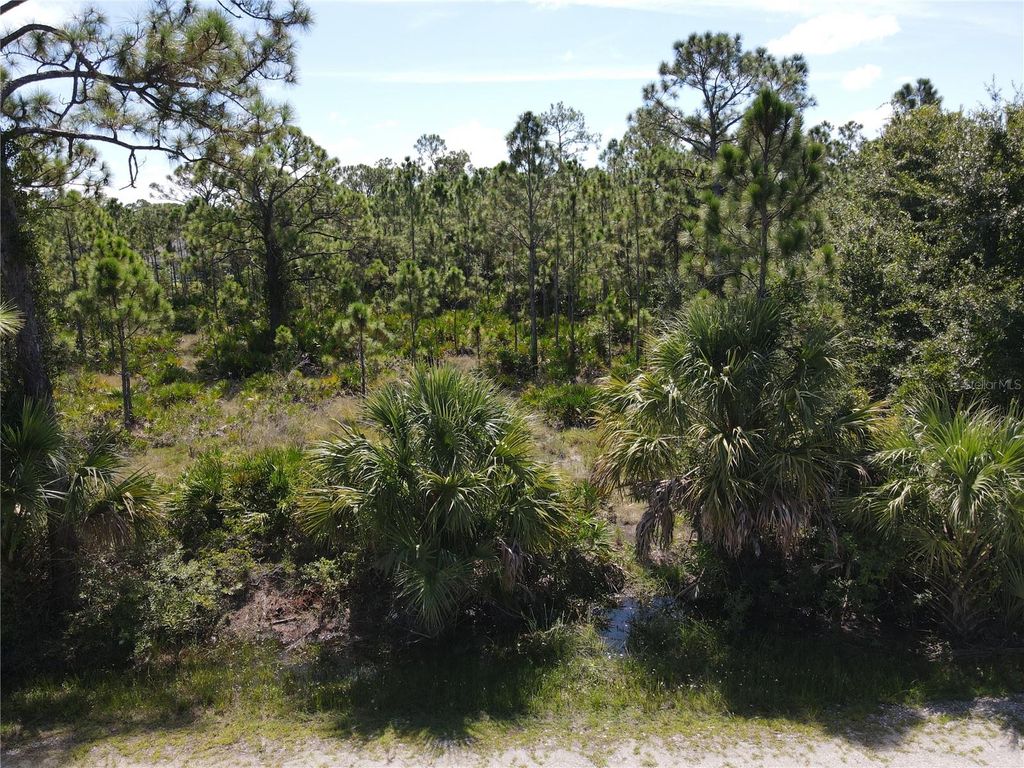 Photo of 12300 Escuela Drive, Punta Gorda, FL 33955 (MLS # C7514266)