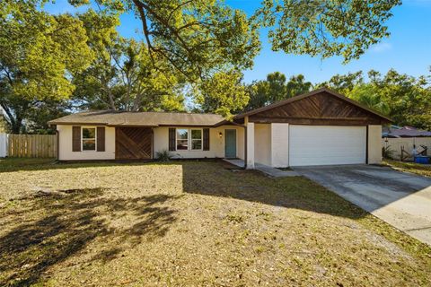 4107 FALLON COURT BRANDON FL 33511