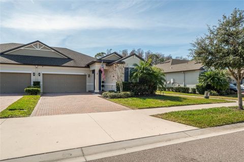 16866 BALANCE COVE LAND O LAKES FL 34638