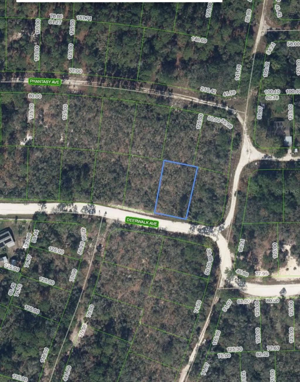 Photo of 284 Deerwalk Avenue, Lake Placid, FL 33852 (MLS # O6207617)