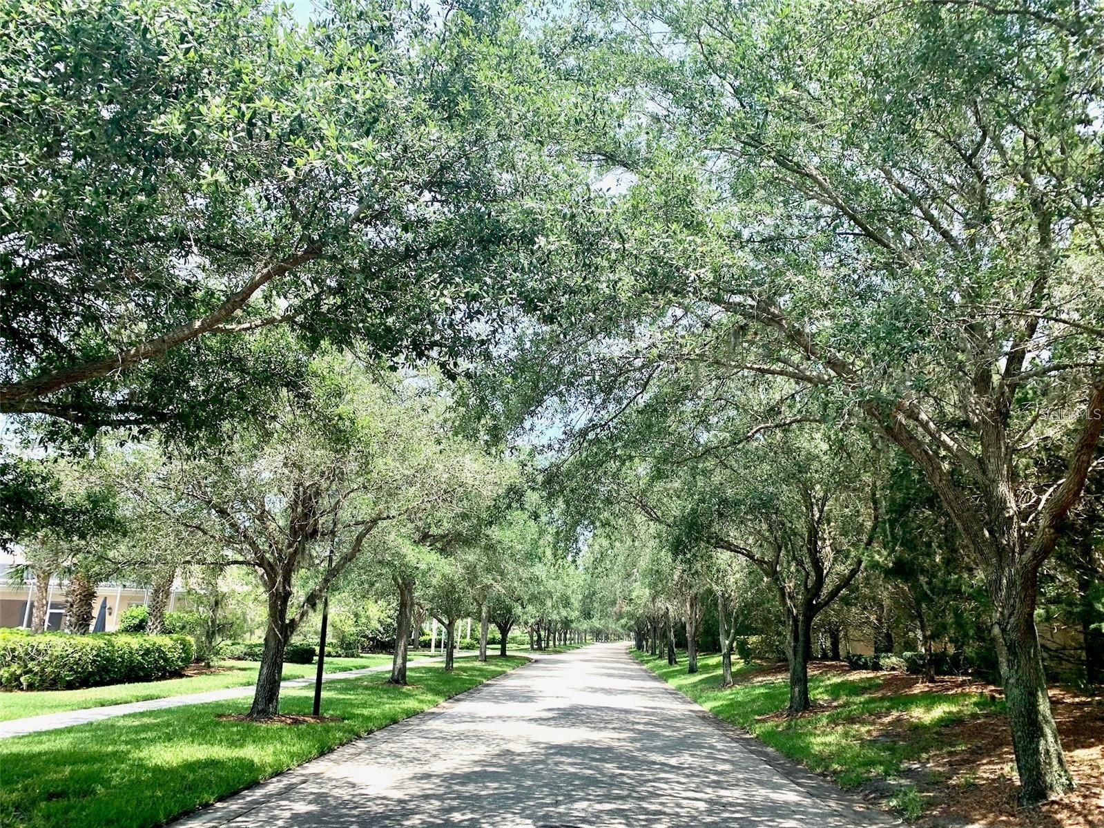 VILLAGEWALK - Residential