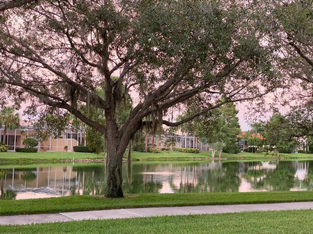 VILLAGEWALK - Residential