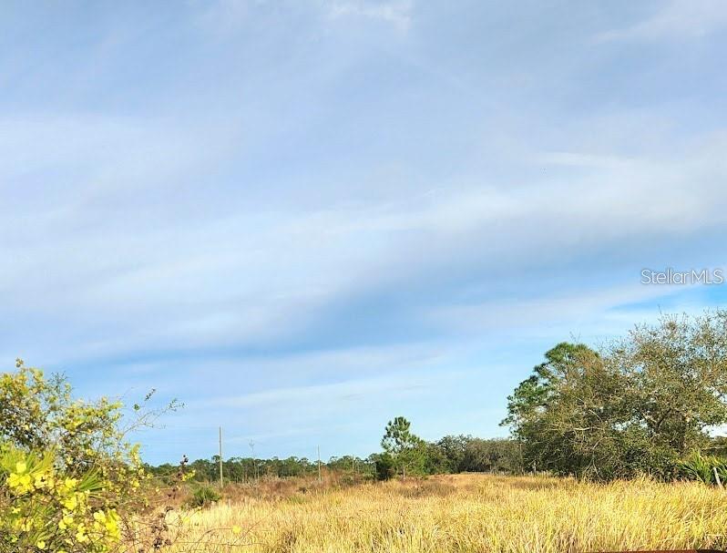 HUGE PRICE REDUCTION.SELLER MOTIVATED. Nearly 49 high-and-dry acres in Oakridge Estates, Frostproof, consisting of five contiguous parcels zoned AG. Located just off W Frostproof Rd, this property offers versatile potential for agricultural use, residential development, or long-term investment. Utilities include electric nearby; well and septic are required. The land features boundary fencing along multiple sides and paved road frontage, making it ideal for future homesites, ranching, or recreational use in a peaceful rural setting.