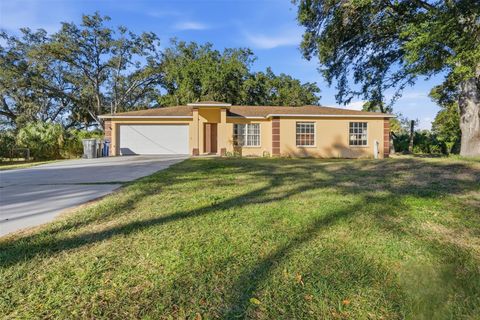 Photo of 9911 Davis Street, Gibsonton, FL 33534 (MLS # TB8466522)