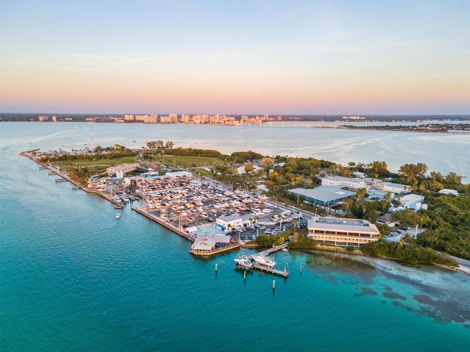 EMBASSY VILLAS - Residential