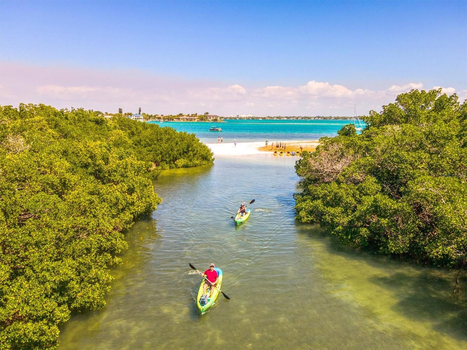 EMBASSY VILLAS - Residential