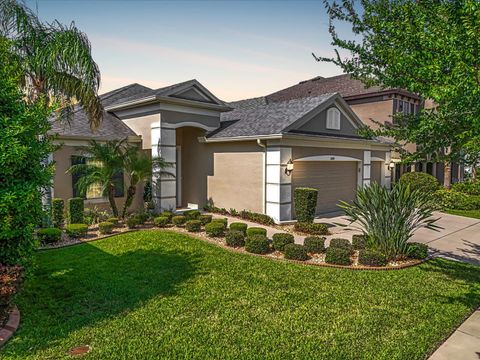 11429 DRIFTING LEAF DRIVE RIVERVIEW FL 33579
