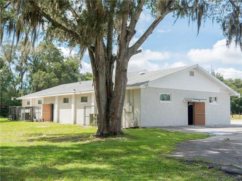 Tiny photo for 2240 Marcella Way, Leesburg, FL 34748 (MLS # O6392656)