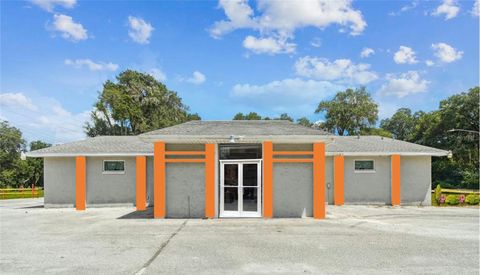 Photo of 2240 Marcella Way, Leesburg, FL 34748 (MLS # O6392656)