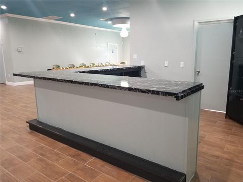 Tiny photo for 2240 Marcella Way, Leesburg, FL 34748 (MLS # O6392656)