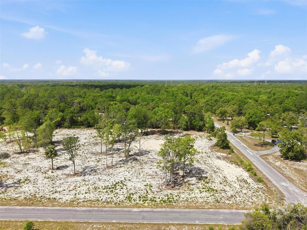 Photo of 14235 Carolina Dove Road, Weeki Wachee, FL 34614 (MLS # W7884425)