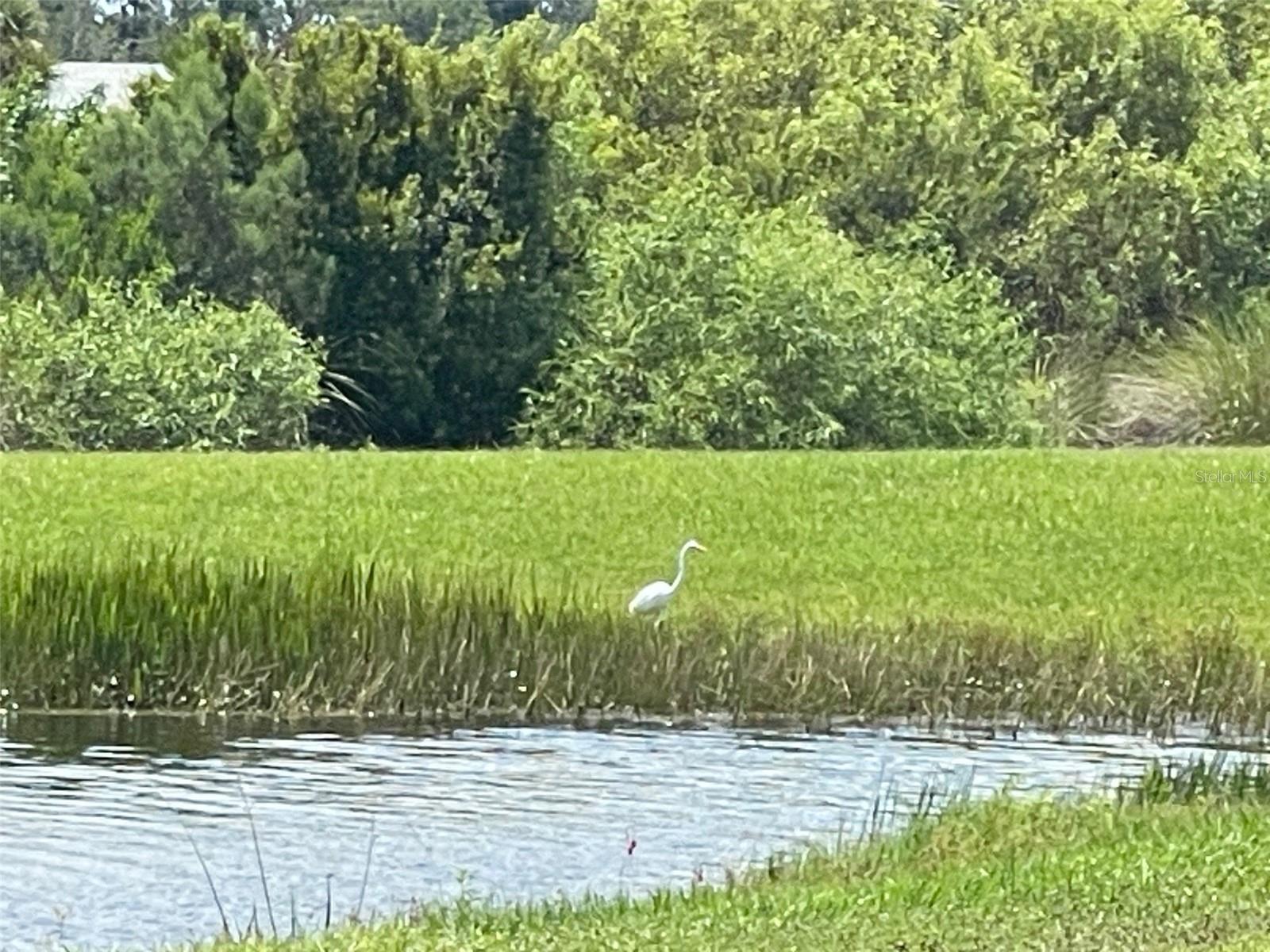 PARK EAST AT AZARIO PH II - Residential