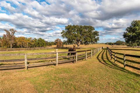 Tiny photo for 5100 W Hwy 329, Reddick, FL 32686 (MLS # OM722403)