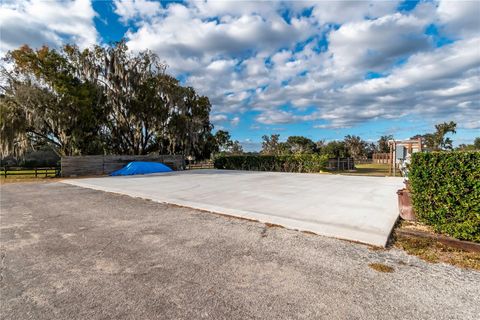 Tiny photo for 5100 W Hwy 329, Reddick, FL 32686 (MLS # OM722403)