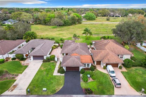 A home in HAINES CITY