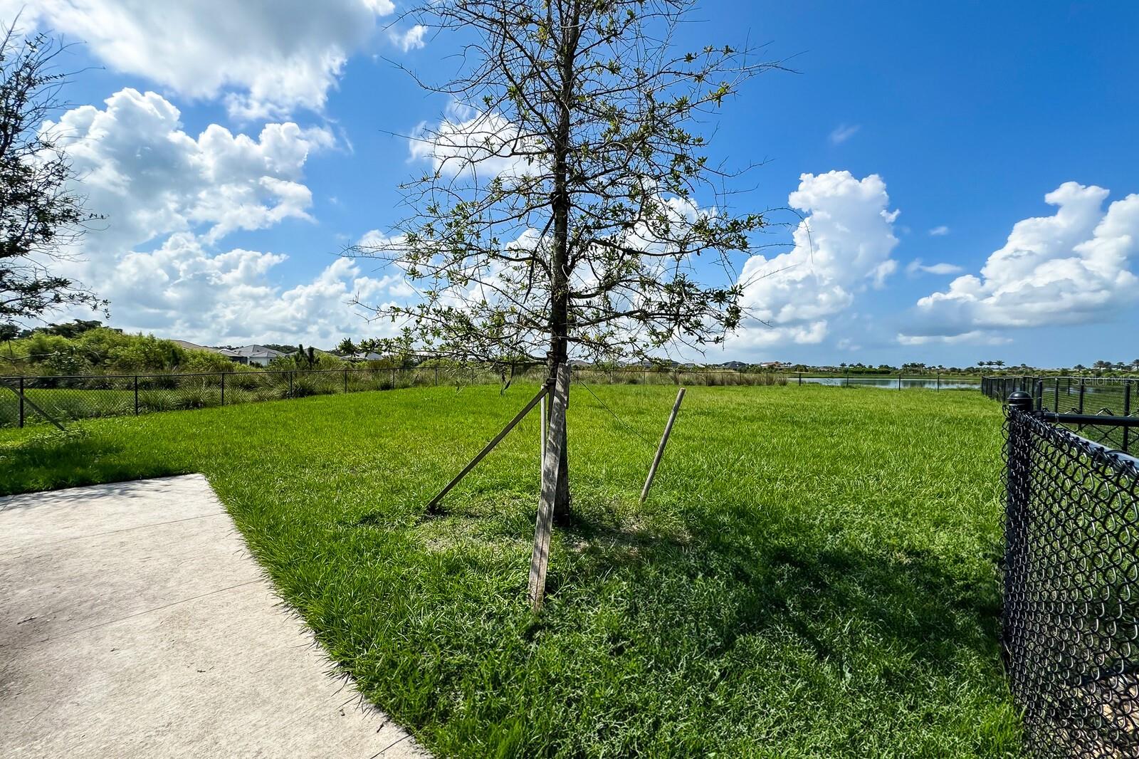 SKYE RANCH NBRHD 2 - Residential Lease