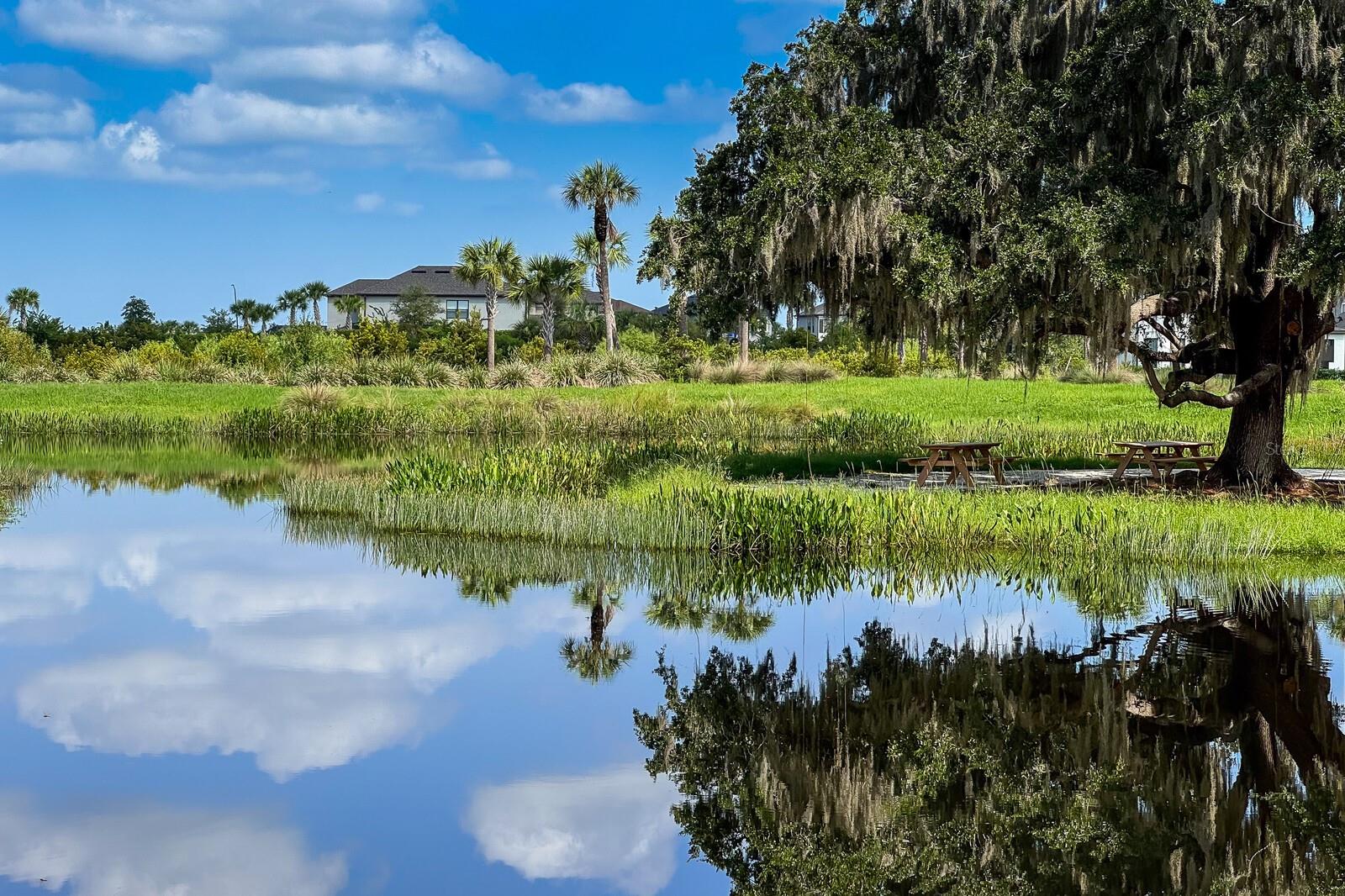 SKYE RANCH NBRHD 2 - Residential Lease