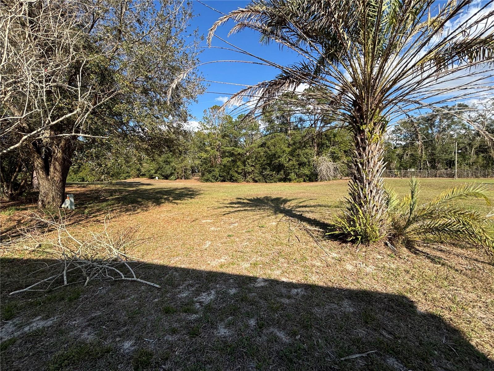 ZELLWOOD STATION - Residential