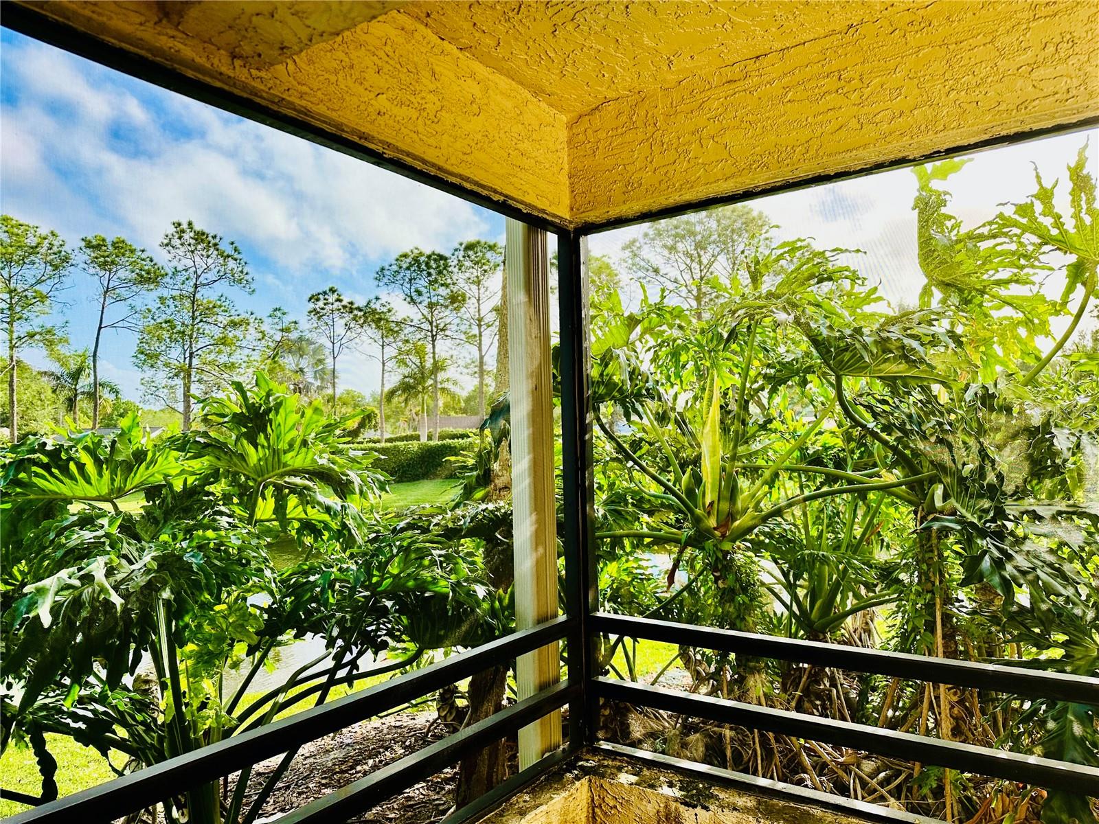 VILLAGE TOWERS CONDO - Residential