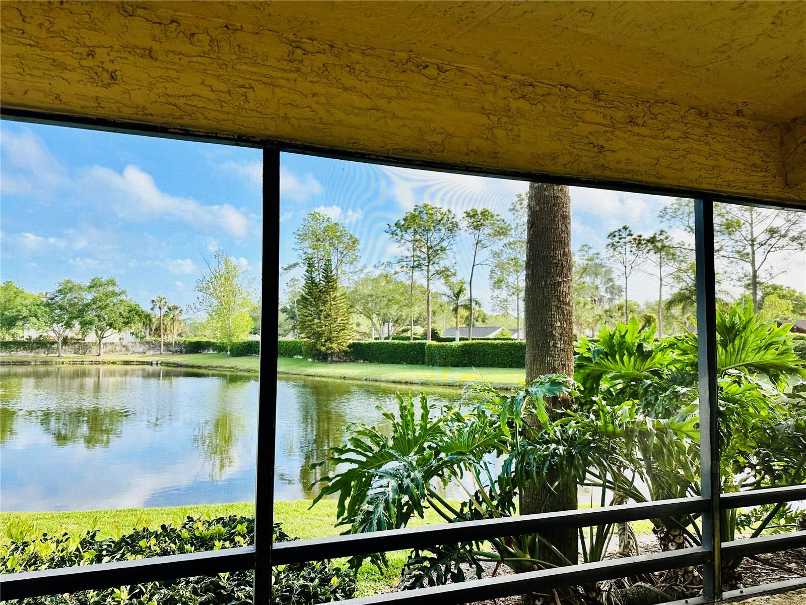 VILLAGE TOWERS CONDO - Residential