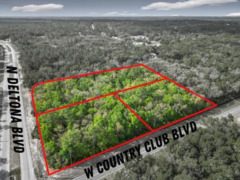 8808 N DELTONA BOULEVARD CITRUS SPRINGS FL 34434