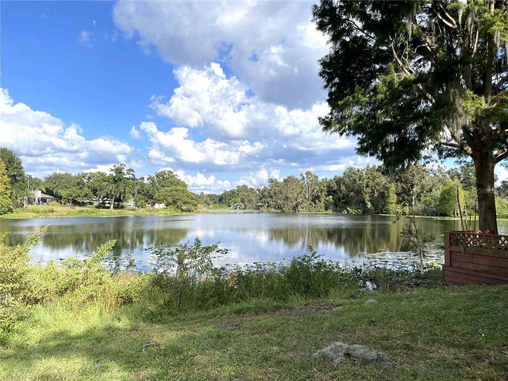 Photo of 11505 N Rome Avenue, Tampa, FL 33612 (MLS # TB8440535)