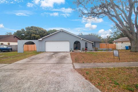 A home in VALRICO