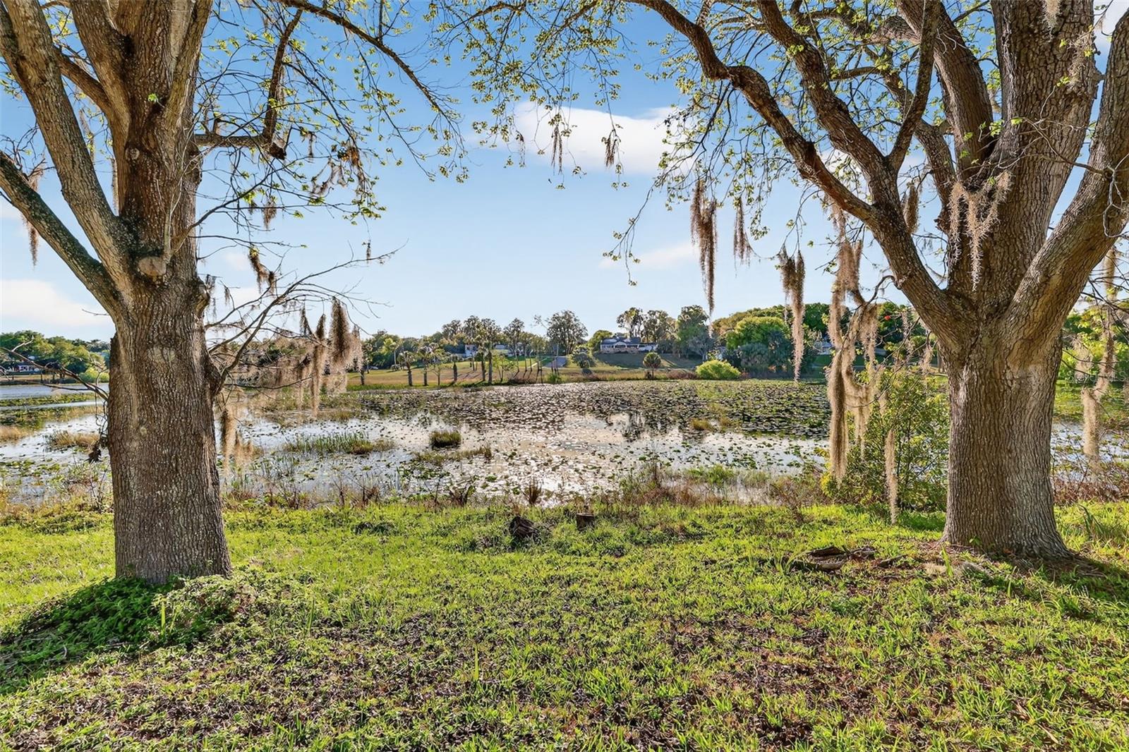 EUSTIS HOGAN TERRACE - Residential