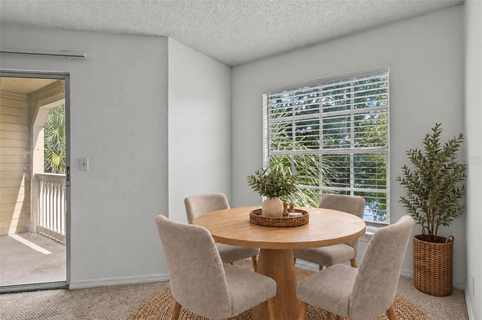 1079 S HIAWASSEE ROAD 1136